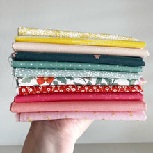 Primrose Bundle