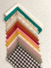 Desert Cove Quilt Kit in Autumn Vibes