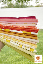 Harmont Quilt Kit in Bright Prints