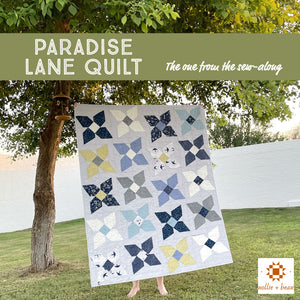 Paradise Lane Quilt: The one from the sew-along