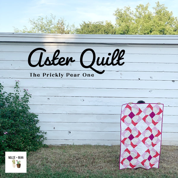 Aster Quilt - The Prickly Pear One